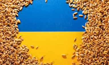 В ООН собирают Совбез из-за срыва россией зернового соглашения