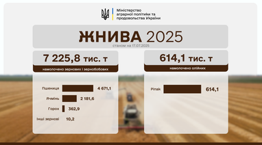 Темпы жатвы-2025 отстают от прошлогодних в 2,2 раза