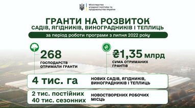 Средства исчерпались: в Украине приостановили заявки на гранты для садов и теплиц