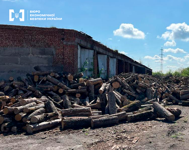 БЕБ повідомило 13 підозр учасникам організованих груп у розтраті держкоштів