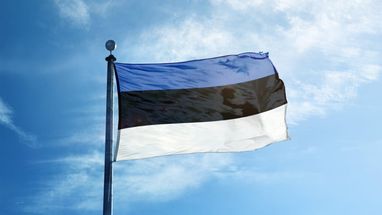 Естонія готується першою в ЄС запровадити механізм конфіскації російських активів