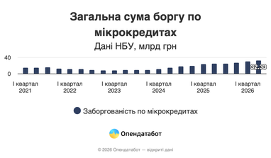 Общая сумма долга по микрокредитам