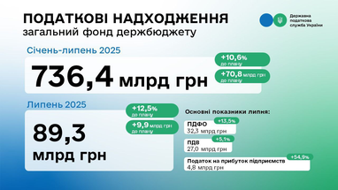 Налоговая перевыполнила план поступлений в бюджет