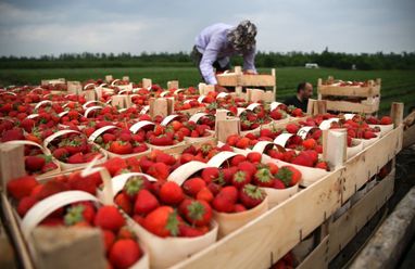 У Польщі працевлаштували 200 тис. українських біженців