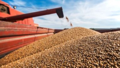 Румыния хочет удвоить мощности для транзита зерна из Украины