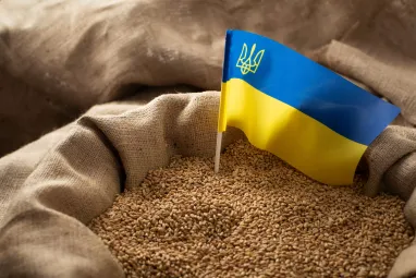 ЄС закликав Польщу, Угорщину та Словаччину до конструктивної взаємодії щодо українського зерна