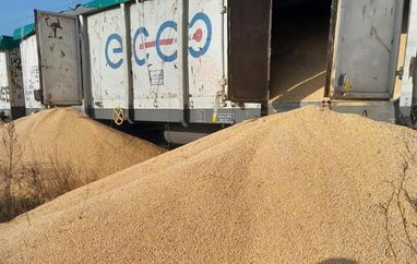 В Польше утилизируют рассыпанное на границе украинское зерно