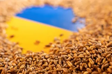 Украина доставила в Судан тонны зерна, — Зеленский