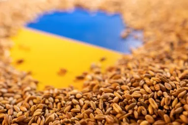 Окупанти на Запоріжжі вкрали 1,4 млн тонн українського зерна — Андрющенко