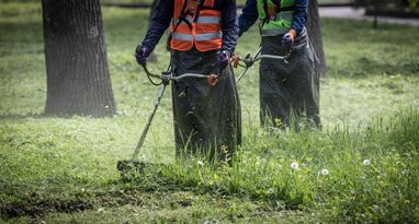 В одній з європейських країн запроваджують обов’язкові роботи для біженців
