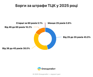 В Україні зростає кількість несплачених штрафів від ТЦК — дослідження Опендатабот