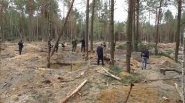 Операція «легалізація». Чи можна закінчити бурштинове свавілля?