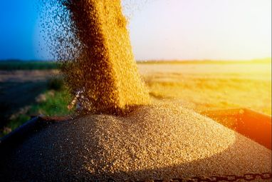 Угорщина запропонувала новий варіант експорту українського зерна