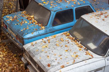 Найбільше вибракувань у серпні припало на автомобілі ВАЗ/Lada