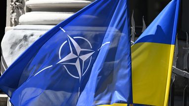 Члены НАТО договорились о финансовой поддержке Украины на €40 млрд накануне саммита альянса — Reuters