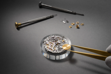 Швейцарцы создали самые сложные в мире наручные часы (фото, видео)