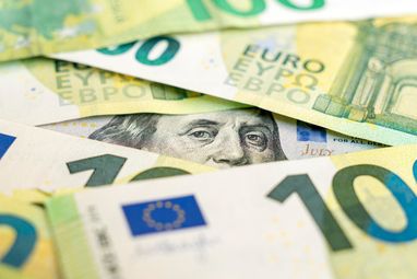 Євро має перспективи, але не стане основною валютою