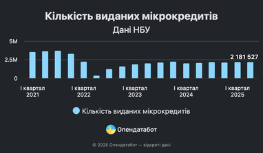 Украинцы берут 730 тысяч микрозаймов ежемесячно — статистика