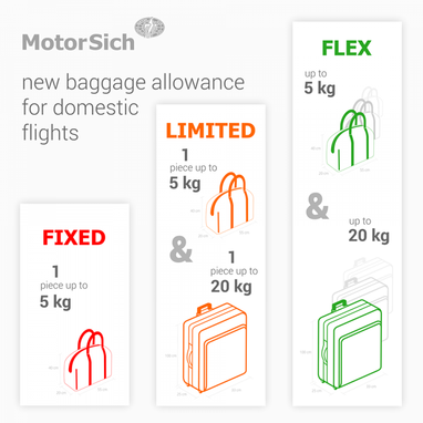 Мотор Сич вводит новые нормы провоза багажа (инфографика)