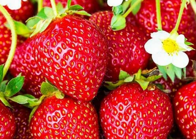 В Україні різко подорожчала популярна садова ягода